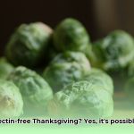 best_lectin_free_thanksgiving_recipes_edited