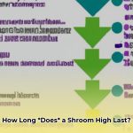 how_long_does_a_high_on_shrooms_last_edited