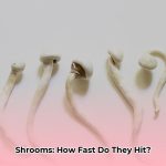 how_long_does_it_take_for_shrooms_to_hit_edited