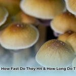 how_long_does_shrooms_take_to_kick_in_edited