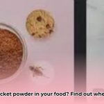 acheta_powder_in_what_foods_edited