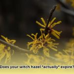 does_witch_hazel_expire_edited