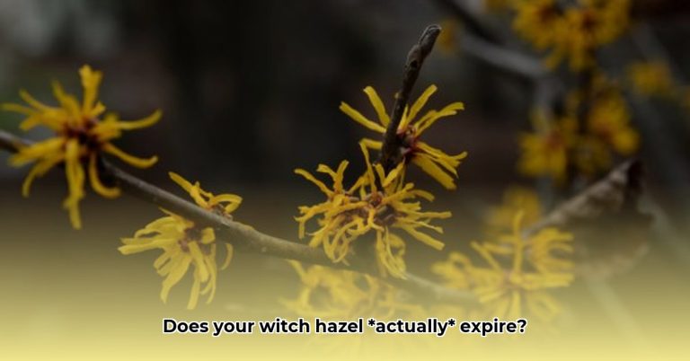 Does Witch Hazel Expire How To Tell If Yours Is Still Good Lifestyle