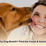 dog_breath_smells_like_fish_edited