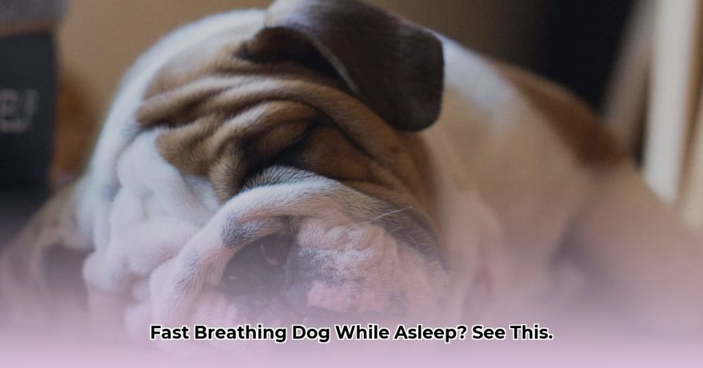 Picture of Is My Dog's Rapid Breathing While Sleeping Normal? When to Worry & What ...