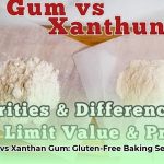guar_gum_vs_xanthan_gum_edited