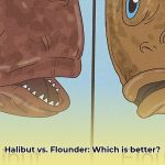 halibut_vs_flounder_edited